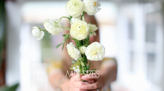  photo flowers15_zps56fa9d13.png